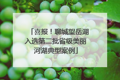 喜报！聊城望岳湖入选第二批省级美丽河湖典型案例