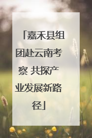 嘉禾县组团赴云南考察 共探产业发展新路径