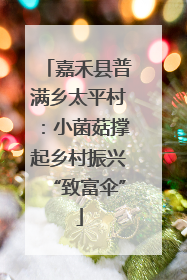 嘉禾县普满乡太平村：小菌菇撑起乡村振兴“致富伞”