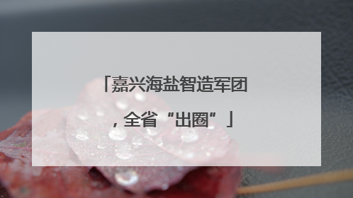 嘉兴海盐智造军团，全省“出圈”