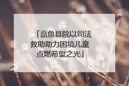 嘉鱼县院以司法救助助力困境儿童点燃希望之光