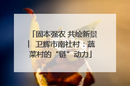 固本强农 共绘新景 ︳卫辉市南社村：蔬菜村的“链”动力