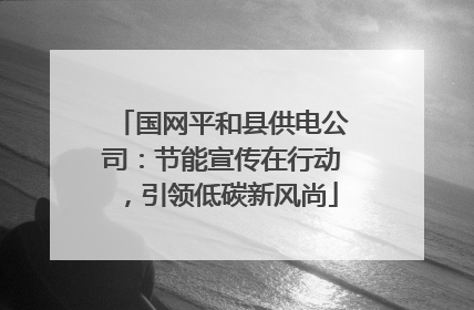 国网平和县供电公司：节能宣传在行动，引领低碳新风尚