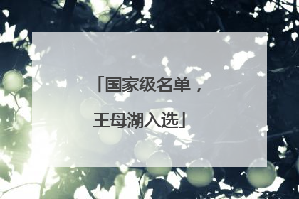 国家级名单，王母湖入选