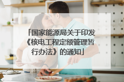 国家能源局关于印发《核电工程定额管理暂行办法》的通知