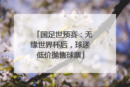 国足世预赛：无缘世界杯后，球迷低价抛售球票