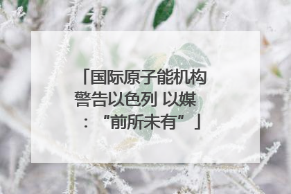 国际原子能机构警告以色列 以媒：“前所未有”