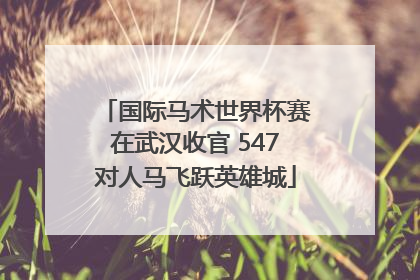 国际马术世界杯赛在武汉收官 547对人马飞跃英雄城