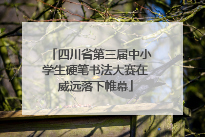 四川省第三届中小学生硬笔书法大赛在威远落下帷幕