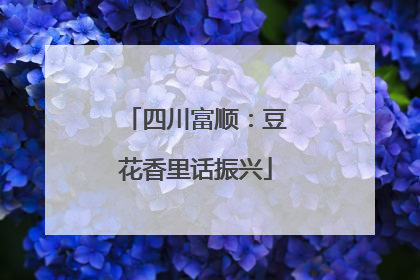 四川富顺：豆花香里话振兴