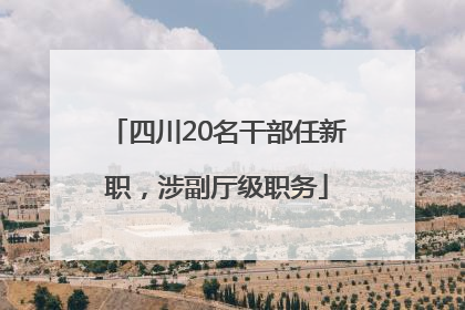 四川20名干部任新职，涉副厅级职务
