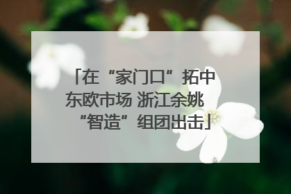 在“家门口”拓中东欧市场 浙江余姚“智造”组团出击