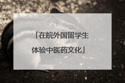在皖外国留学生体验中医药文化