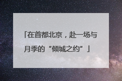 在首都北京，赴一场与月季的“倾城之约”