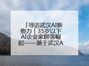 寻访武汉AI新势力︱35岁以下AI企业家群落崛起——基于武汉AI新势力的调研