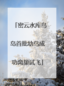 密云水库鸟岛首批幼鸟成功离巢试飞