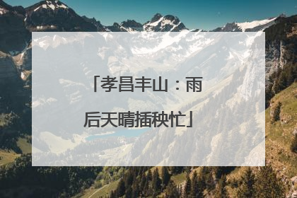 孝昌丰山：雨后天晴插秧忙