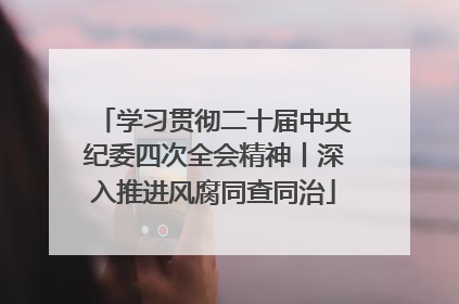 学习贯彻二十届中央纪委四次全会精神丨深入推进风腐同查同治