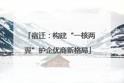 宿迁：构建“一核两翼”护企优商新格局