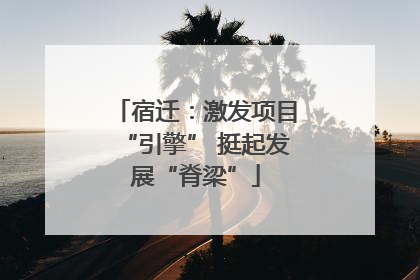 宿迁：激发项目“引擎” 挺起发展“脊梁”