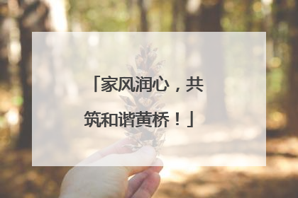 家风润心，共筑和谐黄桥！