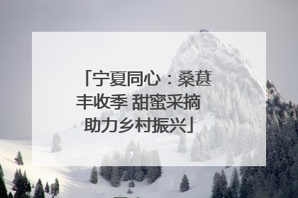 宁夏同心：桑葚丰收季 甜蜜采摘助力乡村振兴