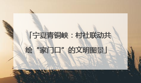 宁夏青铜峡：村社联动共绘“家门口”的文明图景