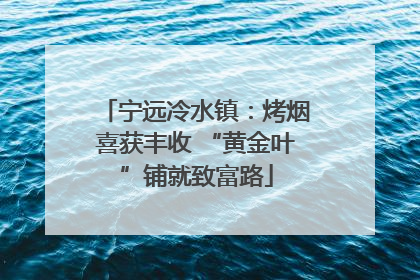 宁远冷水镇：烤烟喜获丰收 “黄金叶”铺就致富路