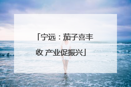 宁远：茄子喜丰收 产业促振兴