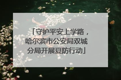守护平安上学路，哈尔滨市公安局双城分局开展夏防行动