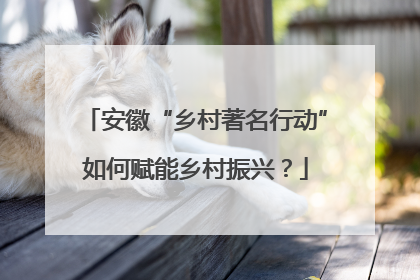 安徽“乡村著名行动”如何赋能乡村振兴？