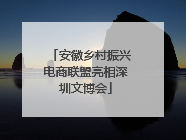 安徽乡村振兴电商联盟亮相深圳文博会