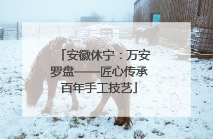 安徽休宁：万安罗盘——匠心传承百年手工技艺