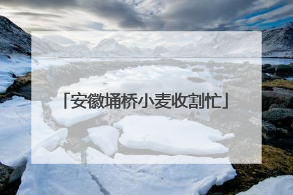 安徽埇桥小麦收割忙