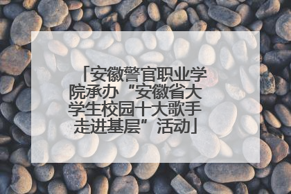 安徽警官职业学院承办“安徽省大学生校园十大歌手走进基层”活动
