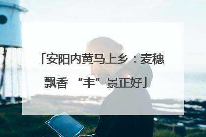 安阳内黄马上乡：麦穗飘香 “丰”景正好