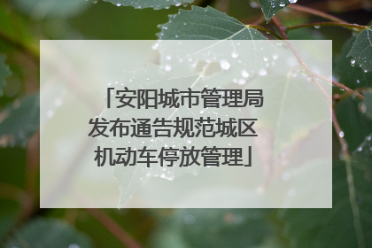 安阳城市管理局发布通告规范城区机动车停放管理