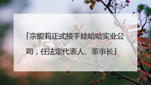 宗馥莉正式接手娃哈哈实业公司，任法定代表人、董事长
