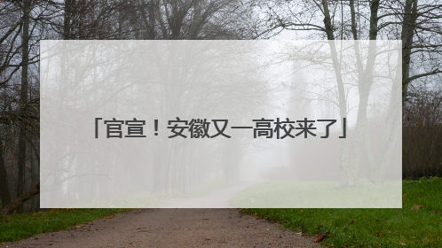 官宣！安徽又一高校来了