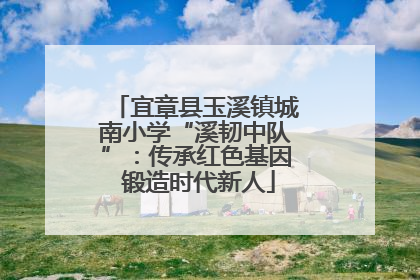 宜章县玉溪镇城南小学“溪韧中队”：传承红色基因 锻造时代新人