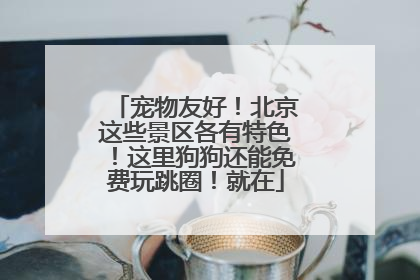 宠物友好！北京这些景区各有特色！这里狗狗还能免费玩跳圈！就在