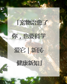 宠物治愈了你，也要科学爱它｜新民·健康新知