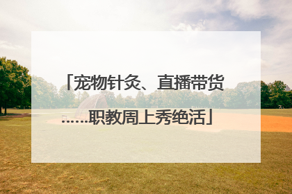 宠物针灸、直播带货……职教周上秀绝活
