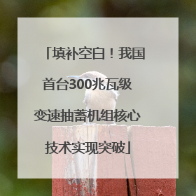 填补空白！我国首台300兆瓦级变速抽蓄机组核心技术实现突破