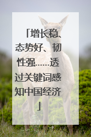 增长稳、态势好、韧性强……透过关键词感知中国经济