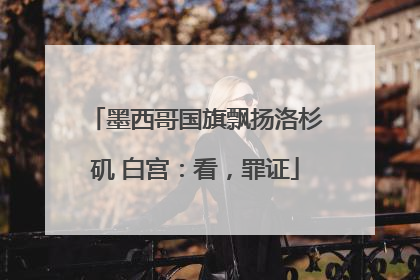 墨西哥国旗飘扬洛杉矶 白宫：看，罪证