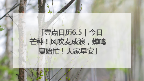 壹点日历6.5｜今日芒种！风吹麦成浪，蝉鸣夏始忙！大家早安