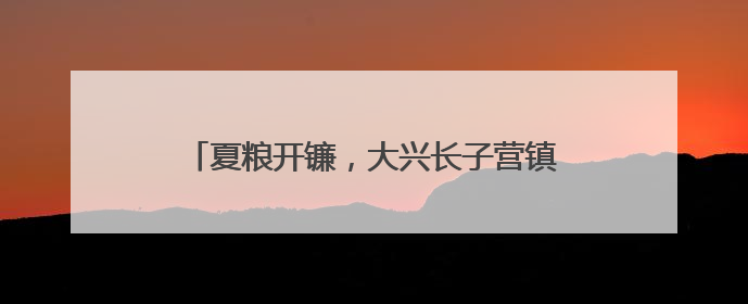 夏粮开镰，大兴长子营镇近6000亩小麦迎丰收