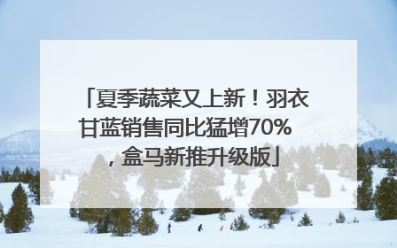 夏季蔬菜又上新！羽衣甘蓝销售同比猛增70%，盒马新推升级版