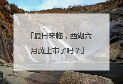 夏日来临，西湖六月黄上市了吗？